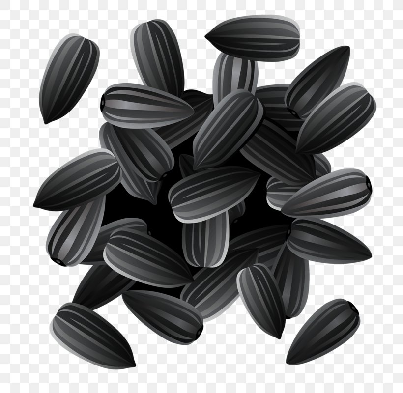 Common Sunflower Sunflower Seed Sowing Clip Art, PNG, 762x800px, Common Sunflower, Black And White, Drawing, Germination, Monochrome Download Free