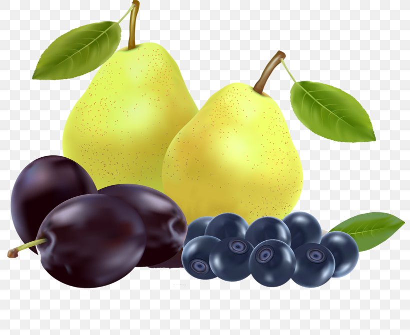 Fruit Euclidean Vector Pear Illustration, PNG, 800x671px, Fruit, Bilberry, Citrus, Common Plum, Drawing Download Free