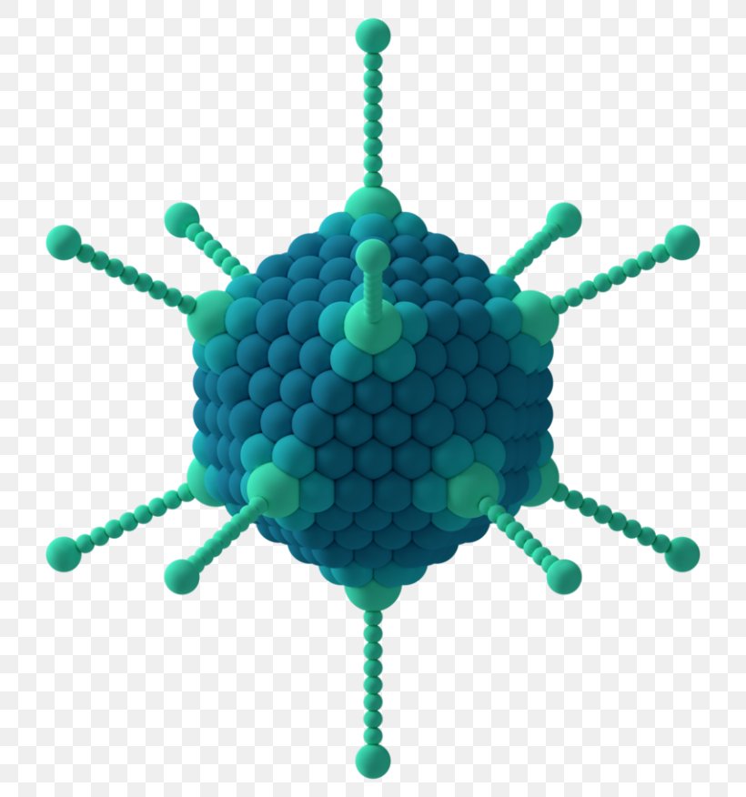 Capsid Icosahedron Adenoviruses Capsomere, PNG, 768x876px, Capsid, Capsomere, Green, Hiv, Icosahedral Symmetry Download Free