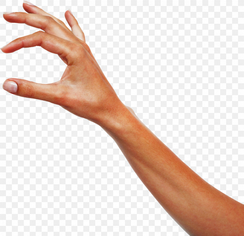 Finger Hand Arm Skin Joint, PNG, 2326x2253px, Finger, Arm, Elbow, Gesture, Hand Download Free