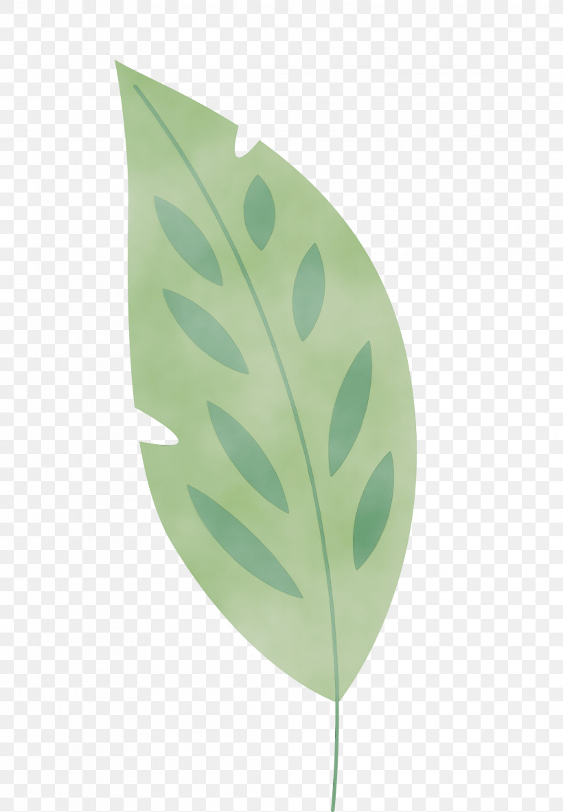 Leaf Plant Stem Green Plants Biology, PNG, 2082x3000px, Leaf Cartoon, Biology, Green, Leaf, Leaf Abstract Download Free