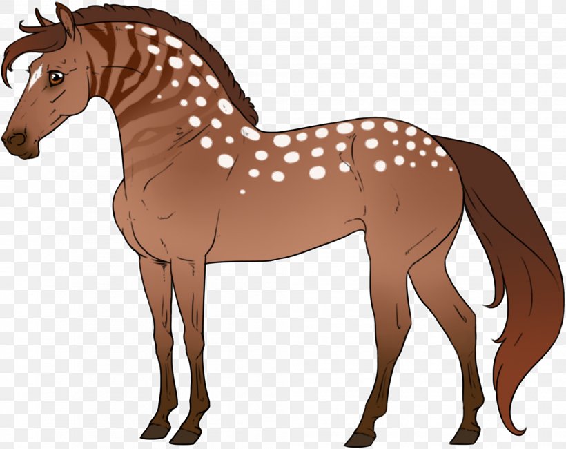 Mule Foal Stallion Colt Mare, PNG, 2016x1600px, Mule, Animal Figure, Bridle, Colt, Foal Download Free