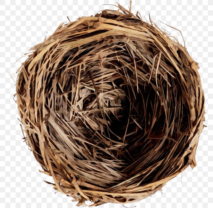 Straw Background, PNG, 774x800px, Watercolor, Bird, Bird Nest, Nest, Nestm Download Free