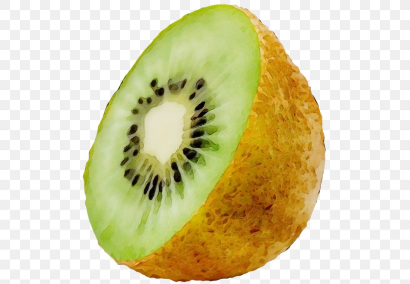 Kiwifruit Fruit Plant Food Muskmelon, PNG, 500x569px, Watercolor, Accessory Fruit, Flightless Bird, Food, Fruit Download Free