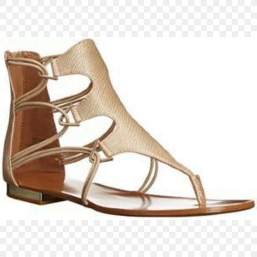 Sandal Shoe, PNG, 1200x1200px, Sandal, Beige, Brown, Footwear, Shoe Download Free