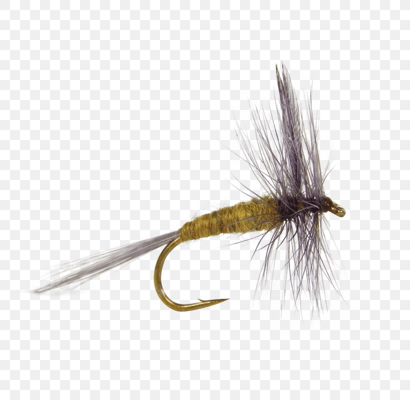 The Salmon Fly Dry Fly Fishing Artificial Fly Fly Tying, PNG, 800x800px, Salmon Fly, Angling, Artificial Fly, Bait, Brown Download Free