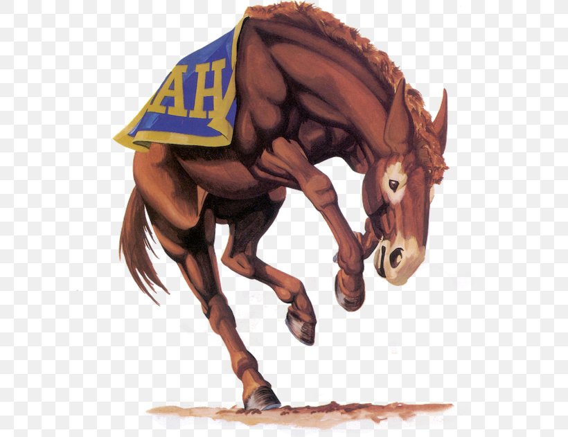 Alamo Heights High School Alamo Heights Junior High School National Secondary School Mule Horse, PNG, 600x631px, Alamo Heights High School, Alamo Heights, Alamo Heights Junior High School, Class, Education Download Free