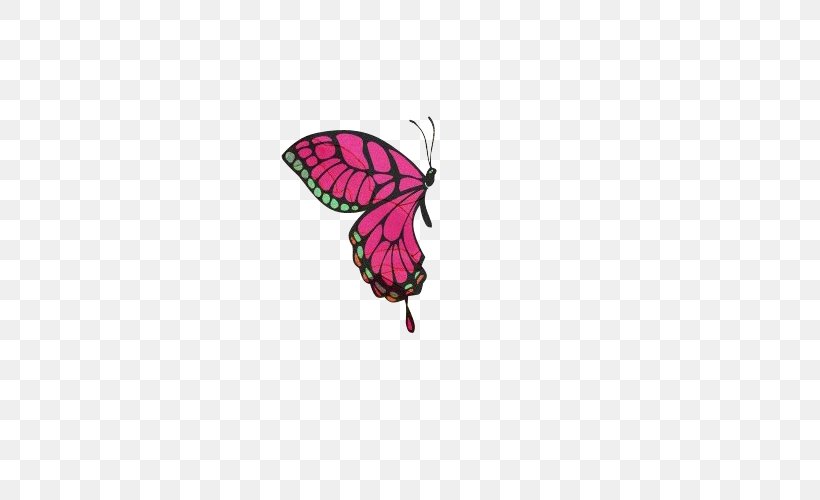 Butterfly Insect Icon, PNG, 500x500px, Butterfly, Arthropod, Insect, Invertebrate, Magenta Download Free