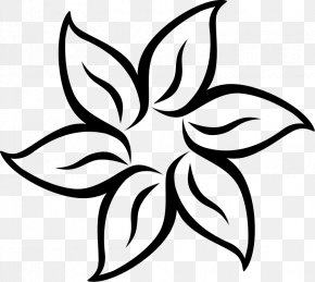 Blume Images Blume Transparent Png Free Download