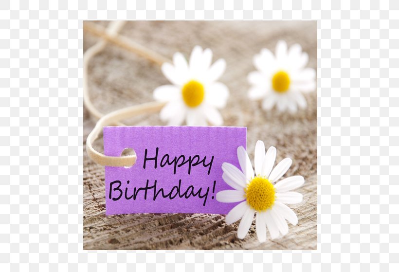 Happy Birthday Wish Greeting & Note Cards Gift, PNG, 527x559px, Birthday, Anniversary, Birthday Cake, Flower, Gift Download Free