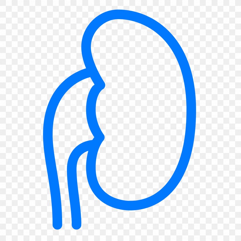 Kidney Clip Art, PNG, 1600x1600px, Kidney, Area, Kidney Bean, National Kidney Foundation, Nephrology Download Free