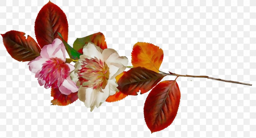 Red Watercolor Flowers, PNG, 1280x690px, Watercolor, Artificial Flower, Blossom, Branch, Bud Download Free