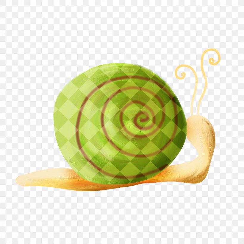 Snail Orthogastropoda Mollusc Shell, PNG, 2362x2362px, Snail, Cartoon, Google Images, Green, Mollusc Shell Download Free