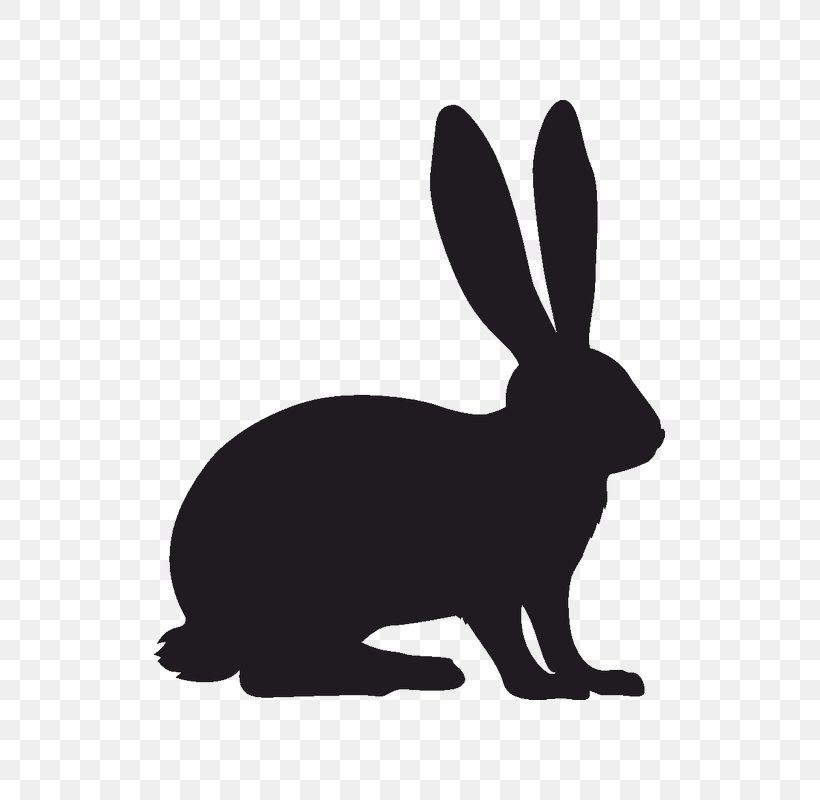 Hare Easter Bunny Rabbit Clip Art, PNG, 800x800px, Hare, Art, Black, Black And White, Domestic Rabbit Download Free