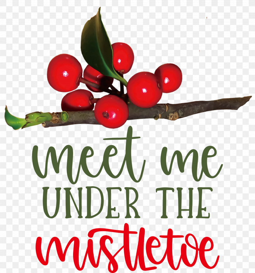 Meet Me Under The Mistletoe Mistletoe, PNG, 2809x3000px, Mistletoe, Aquifoliaceae, Aquifoliales, Biology, Cranberry Download Free