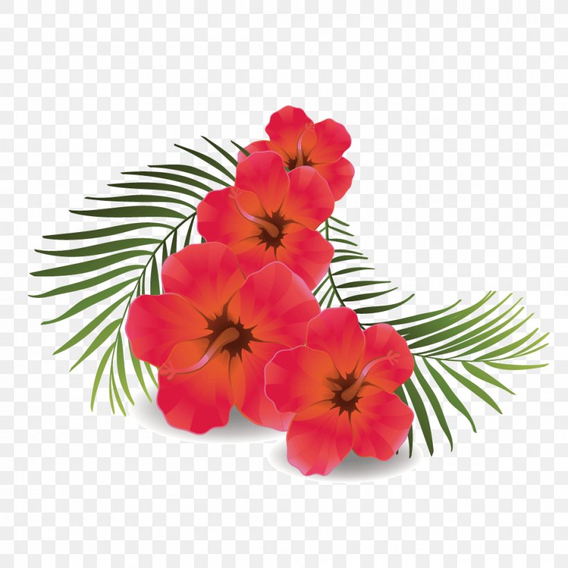Shoeblackplant Euclidean Vector Icon, PNG, 1001x1001px, Shoeblackplant, Annual Plant, Cut Flowers, Floral Design, Floristry Download Free