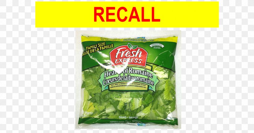 Brand Leaf Vegetable Flavor Sign, PNG, 1200x628px, Brand, Flavor, Grass, Leaf Vegetable, Safety Download Free