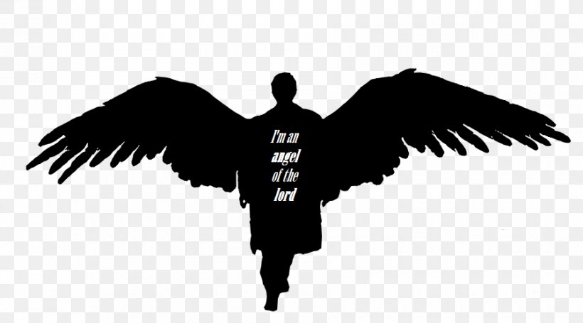 Castiel Dean Winchester Sam Winchester Crowley Angel, PNG, 900x500px, Castiel, Angel, Angel Of The Lord, Baby, Beak Download Free