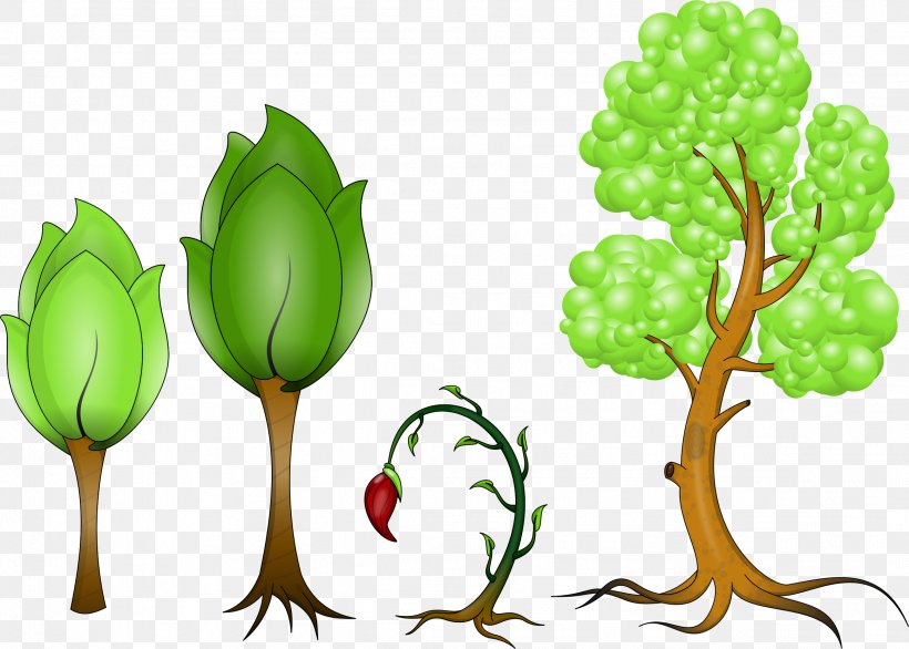 Plant Clip Art, PNG, 2326x1664px, Plant, Branch, Cartoon, Computer Software, Flowering Plant Download Free