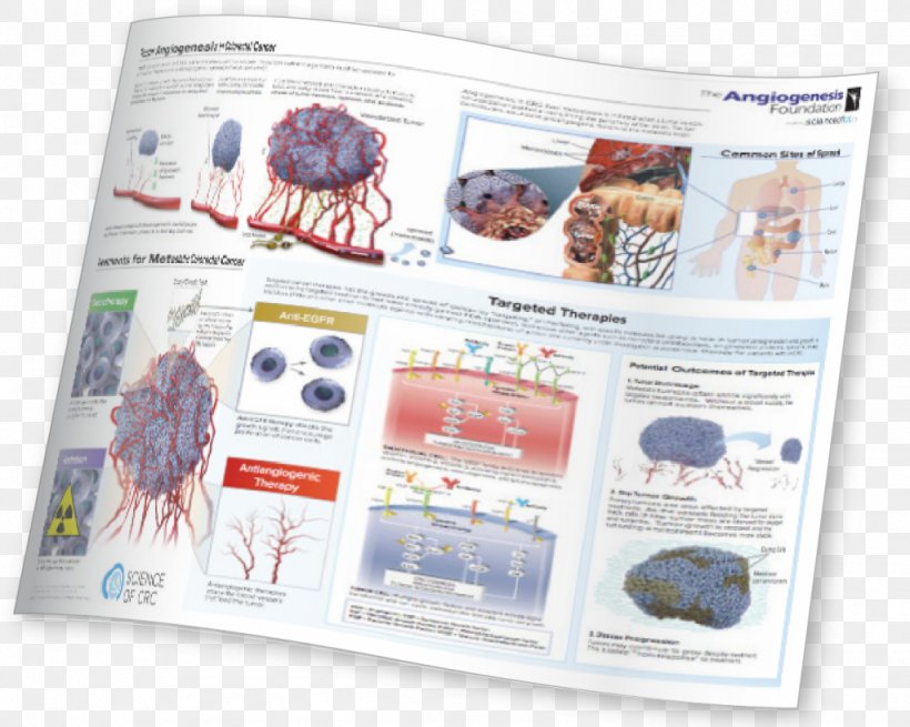 Organism Brand Brochure, PNG, 1024x818px, Organism, Brand, Brochure Download Free