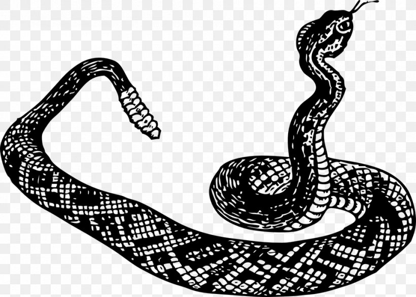 Rattlesnake Reptile Vipers, PNG, 960x685px, Snake, Black And White, Boa Constrictor, Boas, Cobra Download Free