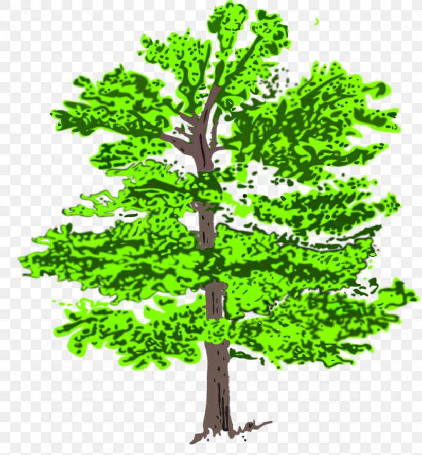 Clip Art Vector Graphics Tree Illustration Euclidean Vector, PNG, 1186x1280px, Tree, Acer Buergerianum, Branch, Grass, Leaf Download Free