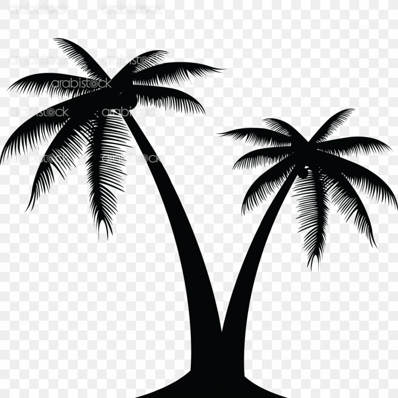 coconut tree vector black and white