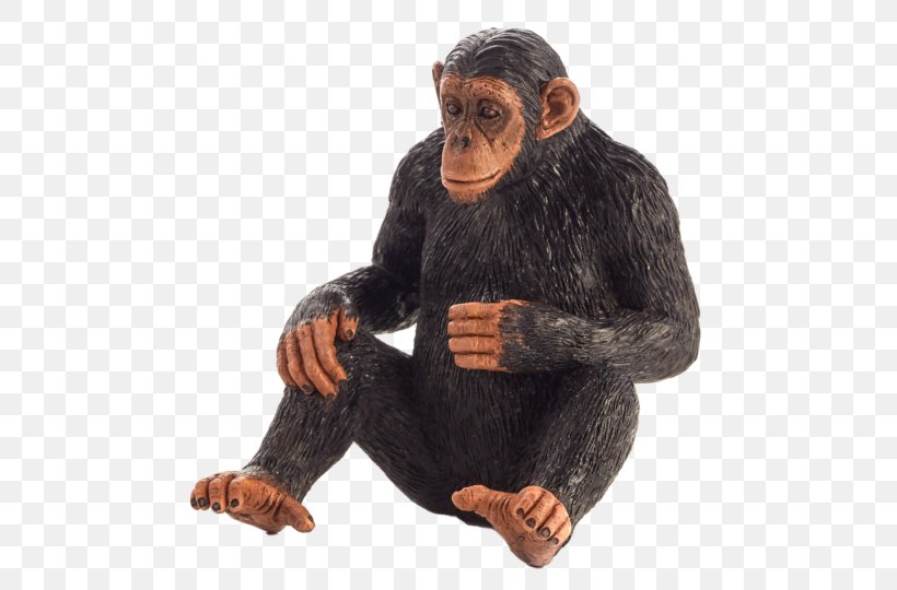 Common Chimpanzee Primate Monkey Gorilla Knuckle-walking, PNG, 502x540px, Common Chimpanzee, Ape, Chimpanzee, Fur, Gorilla Download Free