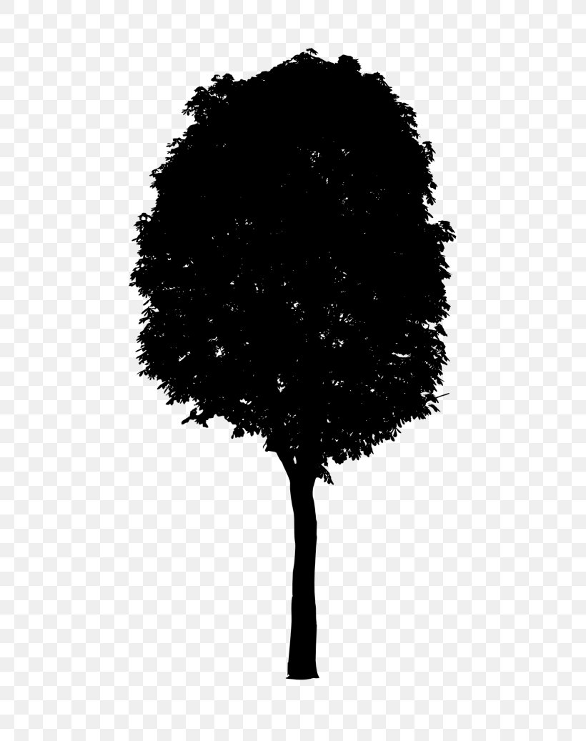 Watercolor Painting Tree Image Drawing, PNG, 624x1037px, Watercolor Painting, Black, Branch, Drawing, Leaf Download Free