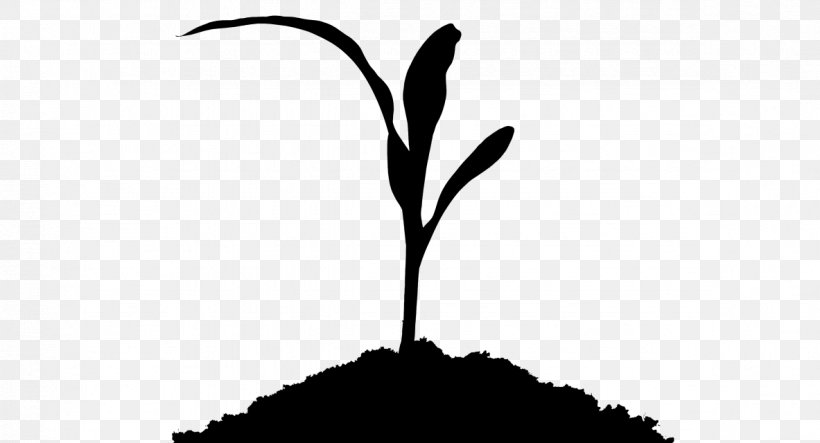 Twig Plant Stem Leaf Flower Clip Art, PNG, 1183x640px, Twig, Black M, Blackandwhite, Botany, Branch Download Free