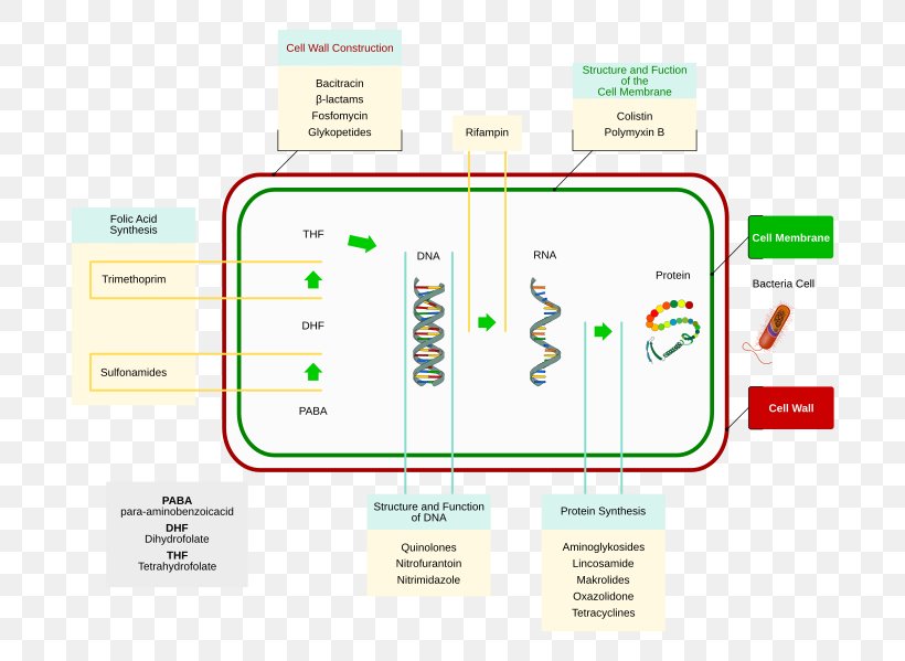 Antibiotics Bacteria Staphylococcus Aureus Disk Diffusion Test Pharmaceutical Drug, PNG, 744x599px, Antibiotics, Antiseptic, Area, Bacteria, Brand Download Free