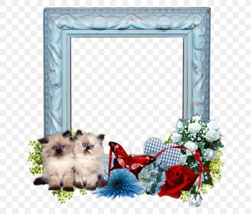 Background Frame Summer Frame, PNG, 700x700px, Puppy, Blog, Breed, Computer Cluster, Crossbreed Download Free