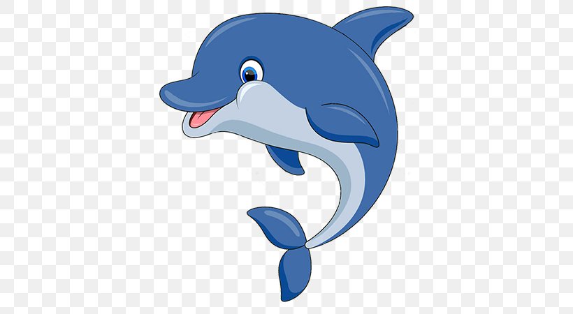 Common Bottlenose Dolphin Tucuxi Wholphin Marine Biology, PNG, 600x450px, Common Bottlenose Dolphin, Animal, Animal Figure, Animated Cartoon, Biology Download Free