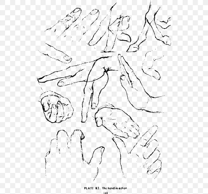 Drawing Hand Croquis Sketch, PNG, 530x763px, Watercolor, Cartoon, Flower, Frame, Heart Download Free