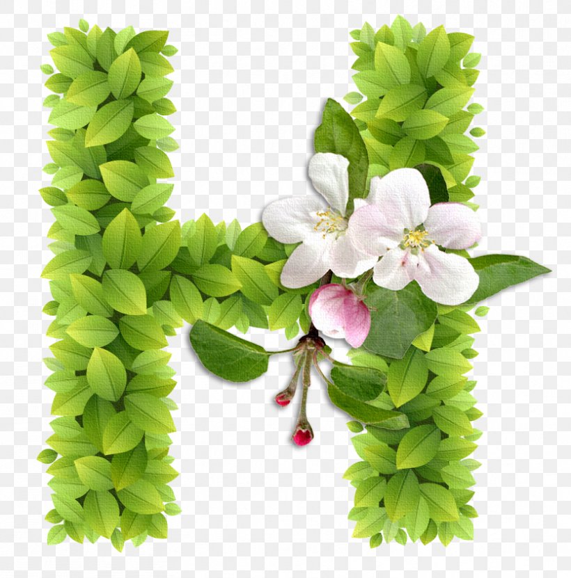 Letter Alphabet C, PNG, 834x846px, Letter, All Caps, Alphabet, Branch, Cut Flowers Download Free