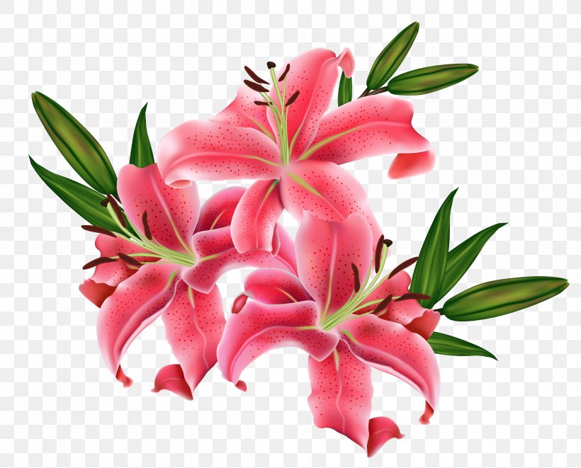 Lilium Icon Clip Art, PNG, 4542x3665px, Lilium Bulbiferum, Cut Flowers, Easter Lily, Floral Design, Floristry Download Free
