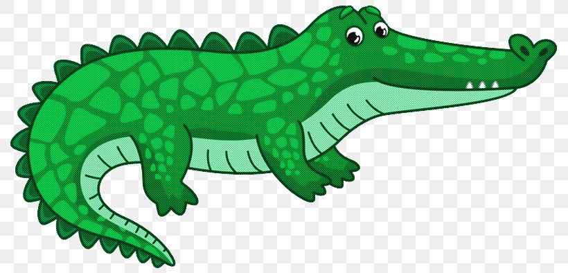 Crocodiles Alligators Certification Wimos Ag, PNG, 800x394px, Crocodiles, Alligators, Animal Figurine, Certification, Iso Download Free