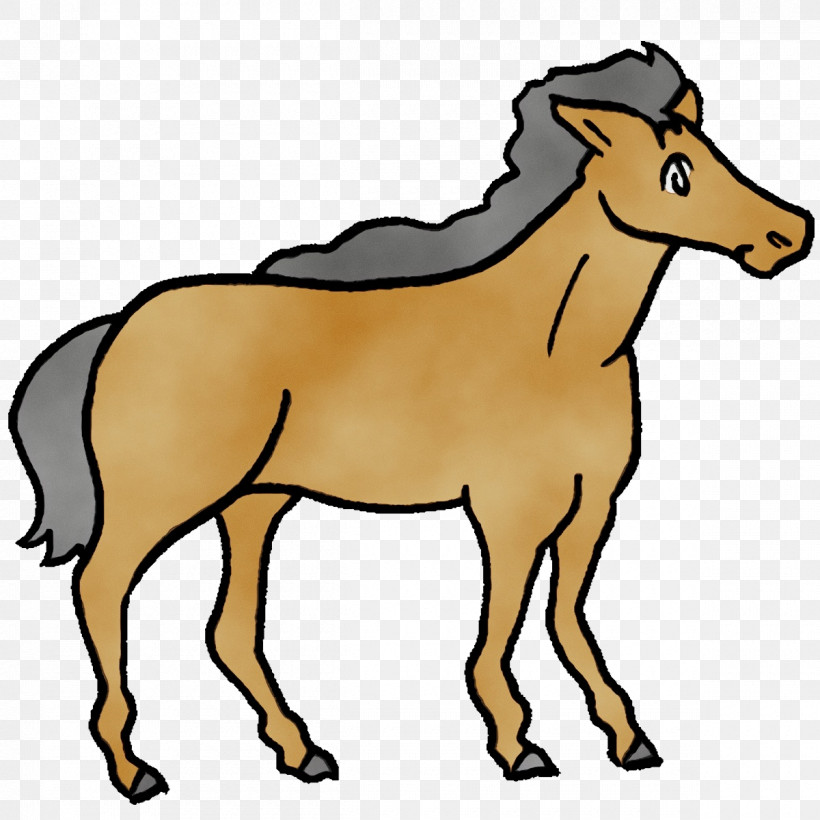 Foal Stallion Mustang Bridle Cartoon, PNG, 1200x1200px, Cartoon Horse ...