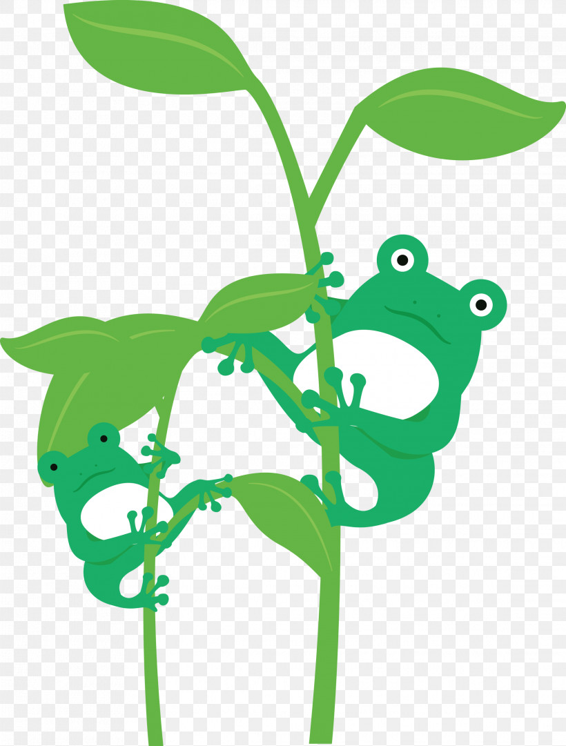 Leaf Plant Stem Frogs Meter Cartoon, PNG, 2274x3000px, Frog, Cartoon, Frogs, Green, Leaf Download Free