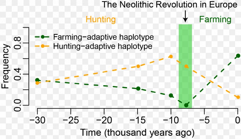 Neolithic Europe Neolithic Revolution Genetics, PNG, 1253x724px, Europe, Allele, Area, Diagram, Directional Selection Download Free