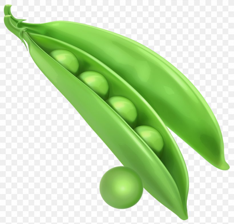 Pea Vegetable Clip Art, PNG, 3000x2872px, Pea, Food, Fruit, Green, Legume Download Free