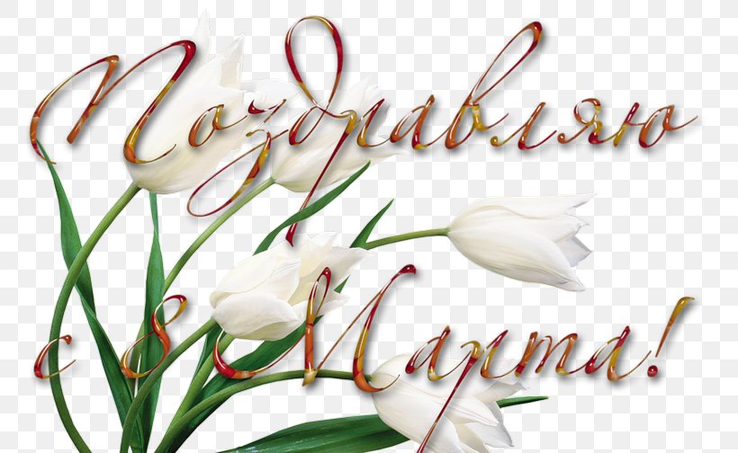 8 March Holiday International Women's Day Cut Flowers, PNG, 800x504px, 8 March, Ansichtkaart, Calligraphy, Cut Flowers, Flora Download Free