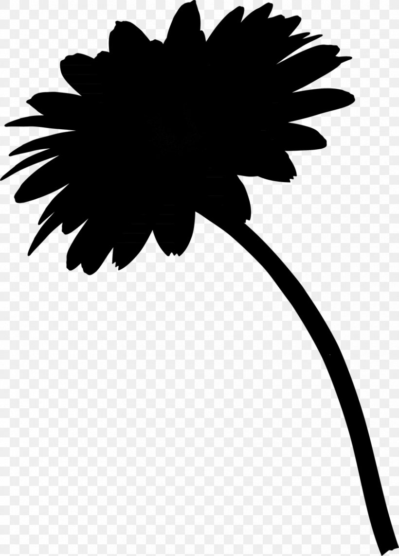 Leaf Daisy Family Clip Art Plant Stem Silhouette, PNG, 860x1200px, Leaf, Blackandwhite, Branching, Common Daisy, Daisy Download Free