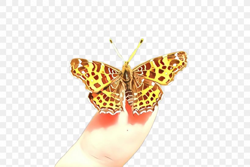 Moths And Butterflies Butterfly Cynthia (subgenus) Insect Pollinator, PNG, 2000x1336px, Cartoon, Brushfooted Butterfly, Butterfly, Cynthia Subgenus, Finger Download Free