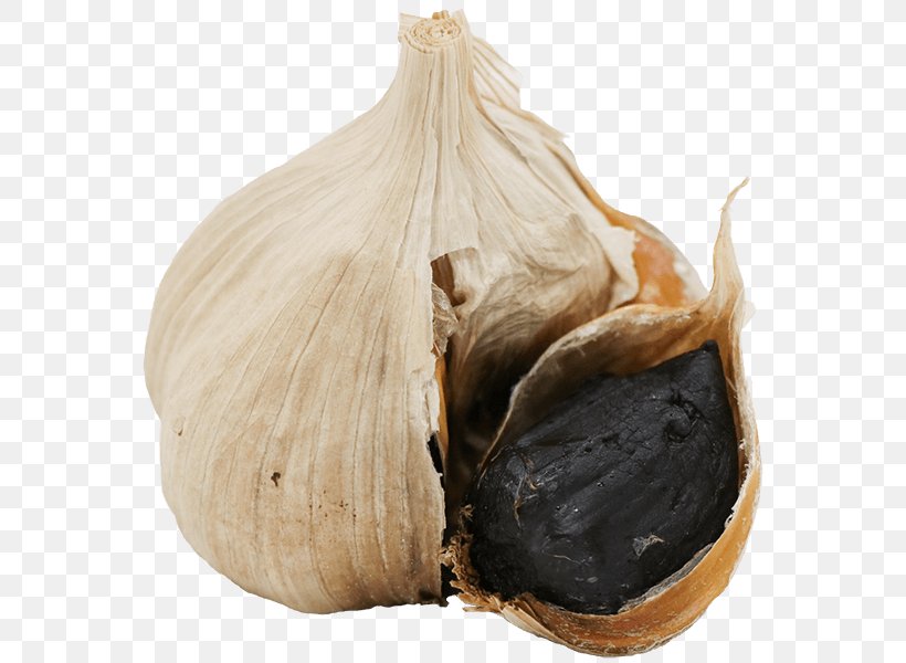 Elephant Garlic （株）ＴＡＫＫＯ商事 Garlic Bread Ajoene, PNG, 600x600px, Elephant Garlic, Ajoene, Cuisine, Eating, Food Download Free