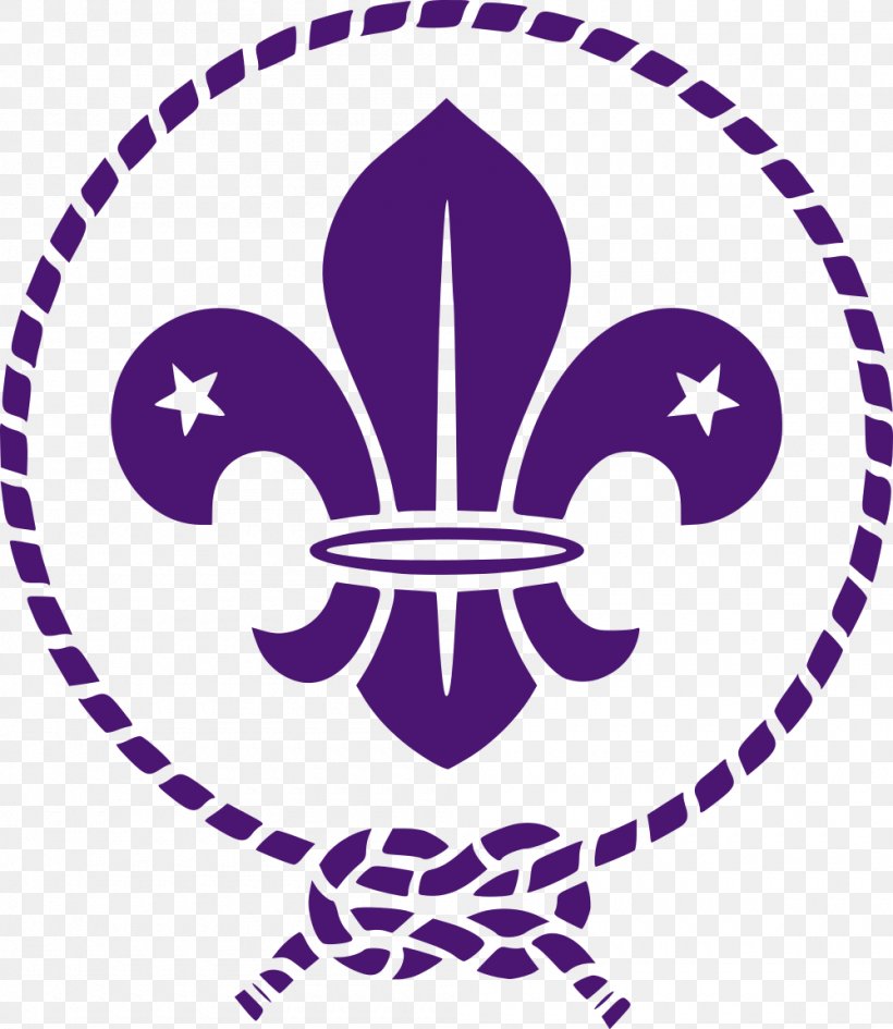 Scouting For Boys World Organization Of The Scout Movement World Scout Emblem Fleur-de-lis, PNG, 1000x1153px, Scouting For Boys, Area, Artwork, Boy Scouts Of America, Cub Scout Download Free