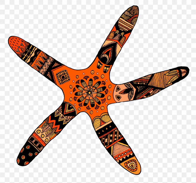Starfish Food Airplane, PNG, 2362x2202px, Starfish, Aircraft, Airplane, Color, Echinoderm Download Free