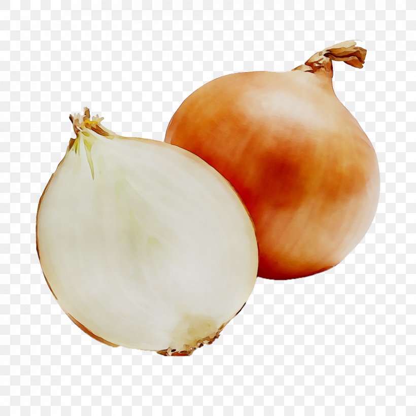 Yellow Onion Shallots Solo Garlic Vegetable Onion Powder, PNG, 1680x1680px, Yellow Onion, Allicin, Allium, Black Garlic, Dish Download Free