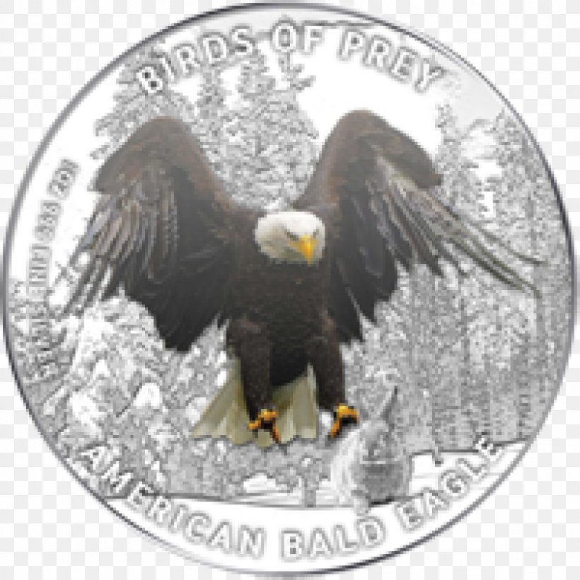 Bald Eagle Silver Coin Proof Coinage, PNG, 1024x1024px, Bald Eagle, Accipitriformes, Beak, Bird, Bird Of Prey Download Free
