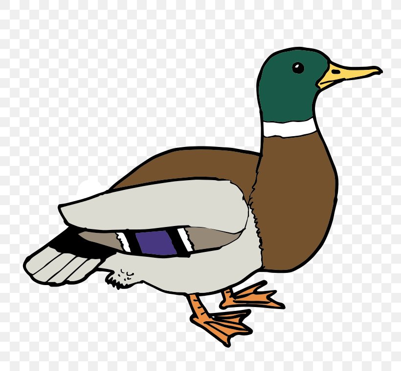 Donald Duck Baby Ducks Clip Art, PNG, 800x760px, Duck, Artwork, Baby Ducks, Beak, Bird Download Free
